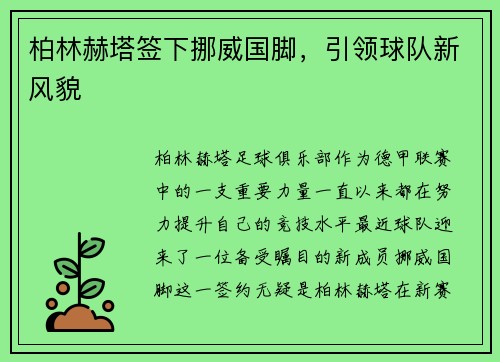 柏林赫塔签下挪威国脚，引领球队新风貌